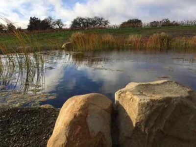 What is Biodynamic Farming? Image